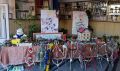Коледа 2024 година - СУ Христо Ботев - Баните